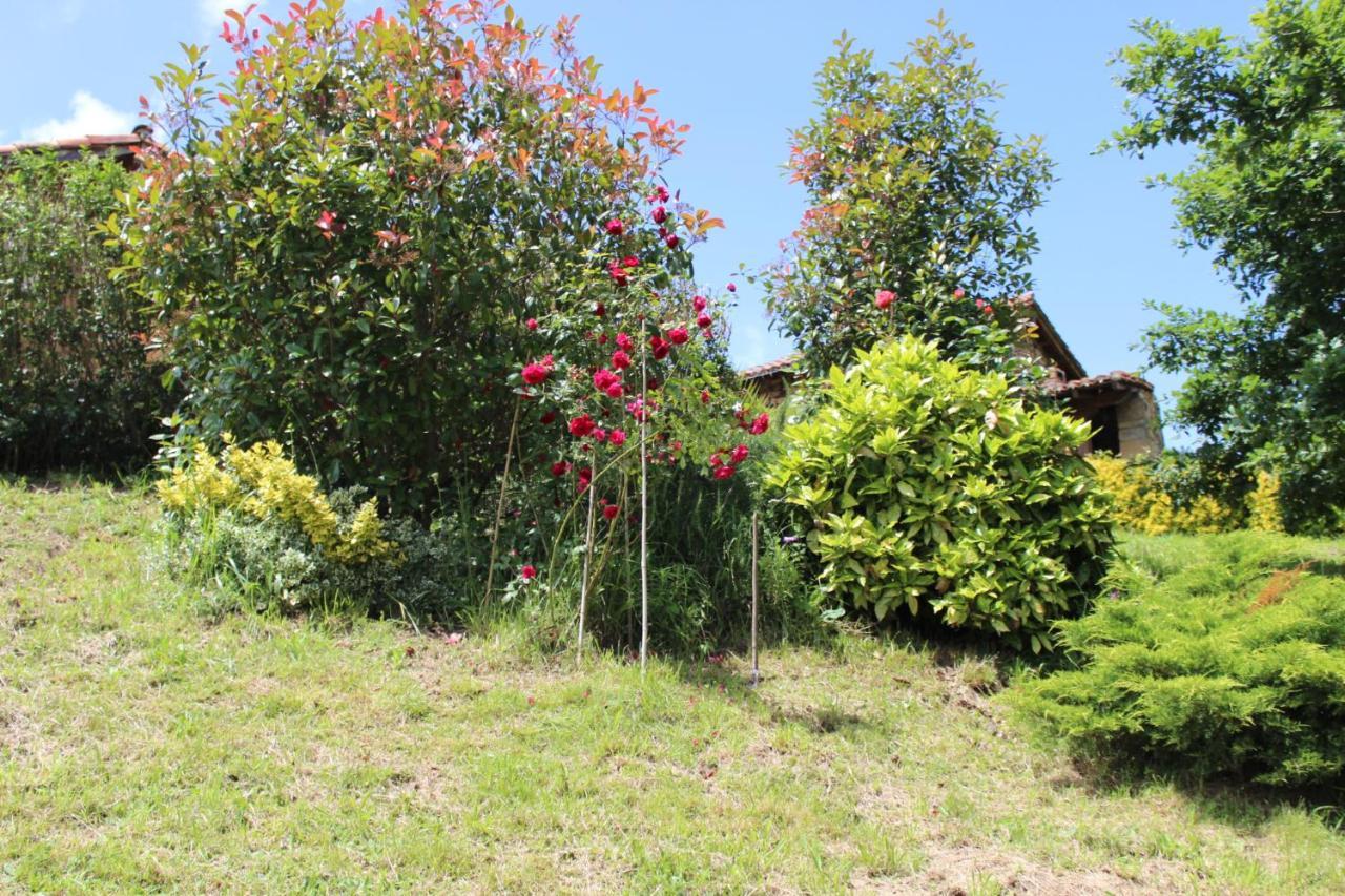 El Refugio De Luena Villa San Miguel de Luena Exterior photo